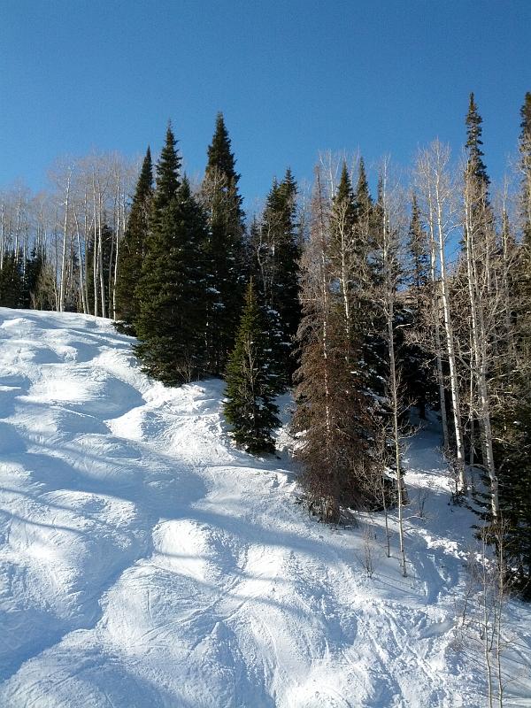 2013-02-03 14.19.41.jpg